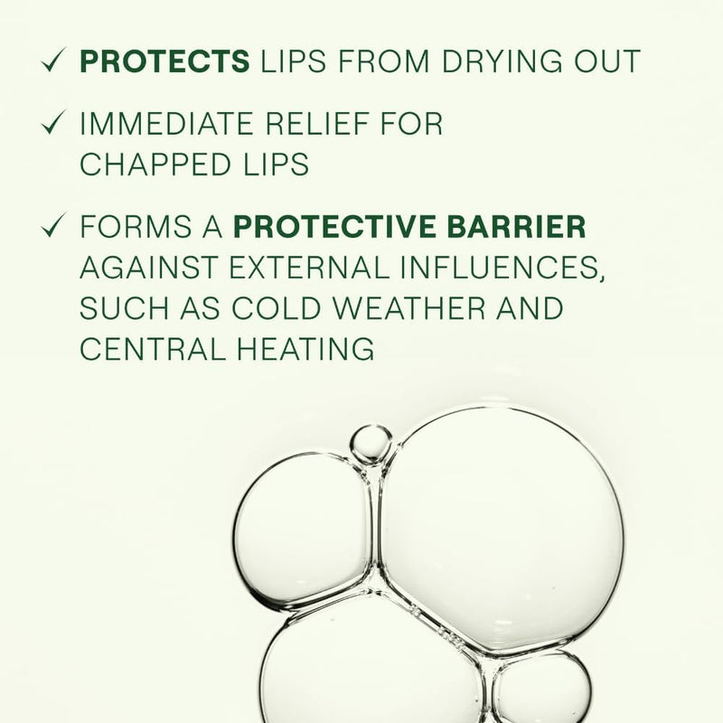 Weleda Skin Food Lip Balm, Very Dry & Chapped Lips, Natural Oils, Intensive Nourishment, For Men & Women, 100% Certified Natural, Travel Size, Organic, Vegetarian, 8ml Greenwize
