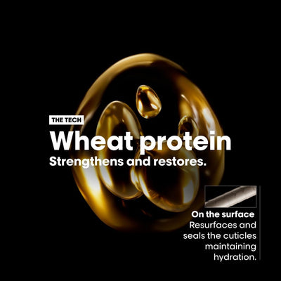 L’Oréal Professionnel Conditioner, With Protein And Gold Quinoa for Dry And Damaged Hair, Serie Expert Absolut Repair Greenwize
