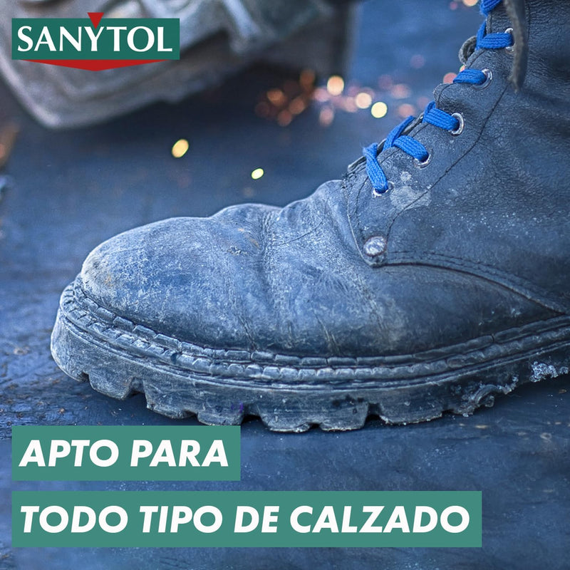 Sanytol Disinfectant Spray-150 Ml Deodorant Sanitizer Shoes Spray, 150 ml (Paquete de 1) Greenwize